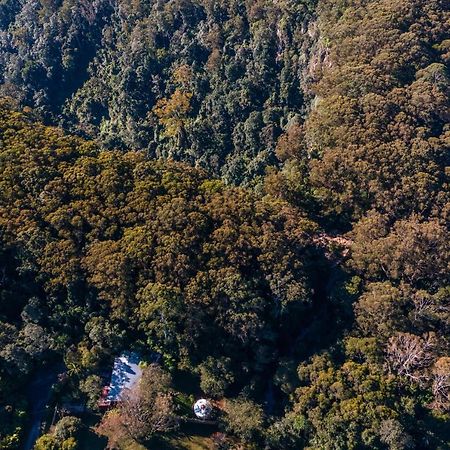 Purling Brook Falls Gwongorella Ξενοδοχείο Springbrook Εξωτερικό φωτογραφία