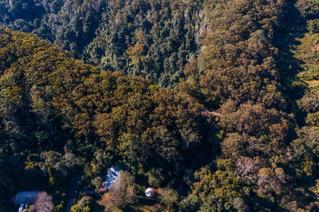 Purling Brook Falls Gwongorella Ξενοδοχείο Springbrook Εξωτερικό φωτογραφία