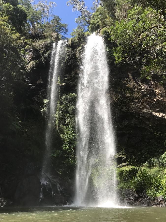Purling Brook Falls Gwongorella Springbrook Εξωτερικό φωτογραφία