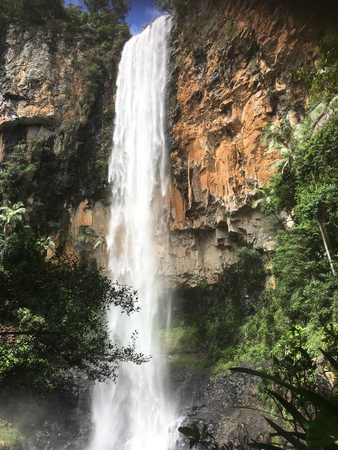 Purling Brook Falls Gwongorella Ξενοδοχείο Springbrook Εξωτερικό φωτογραφία