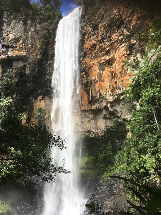 Purling Brook Falls Gwongorella Springbrook Εξωτερικό φωτογραφία
