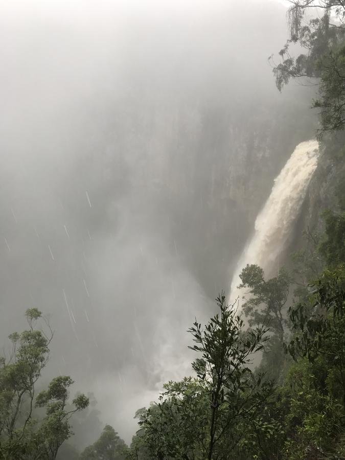 Purling Brook Falls Gwongorella Ξενοδοχείο Springbrook Εξωτερικό φωτογραφία